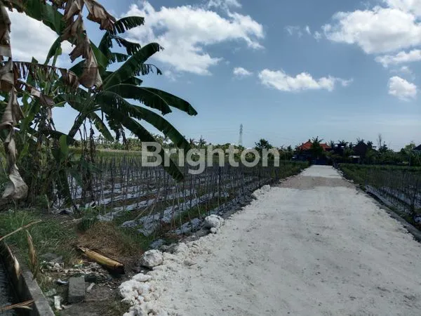 image DI JUAL TANAH KAPLING  SUDIMARA  TABANAN (3)