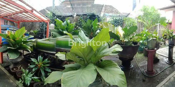 image JUAL TANAH BONUS RUMAH DILOKASI STRATEGIS (6)