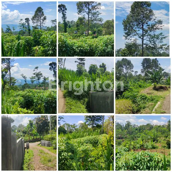 Gambar Property LAHAN KEBUN DI PURWODADI PASURUAN