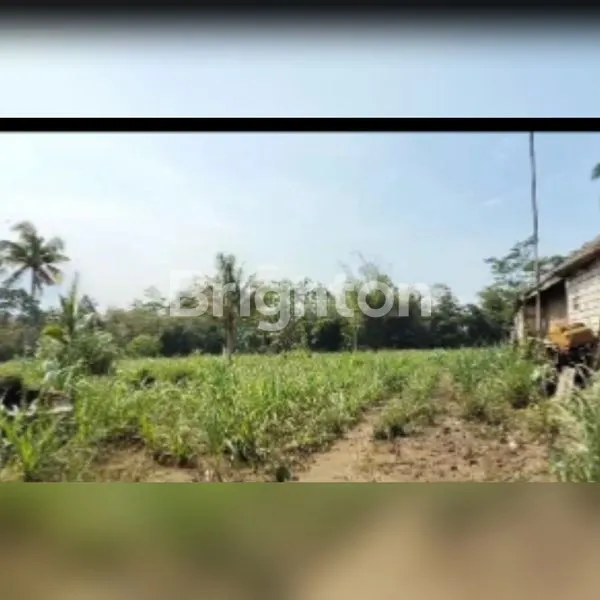 LAHAN 1,7 HEKTAR DI GONDANGLEGI MALANG