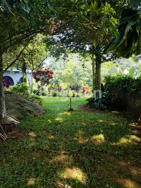 image TANAH DI JL.TARUMANEGARA CIJERUK BOGOR ADA BANGUNAN VILLA  (1)