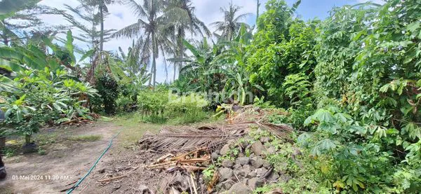 image DIJUAL TANAH PASEKAN KEDIRI TABANAN (4)