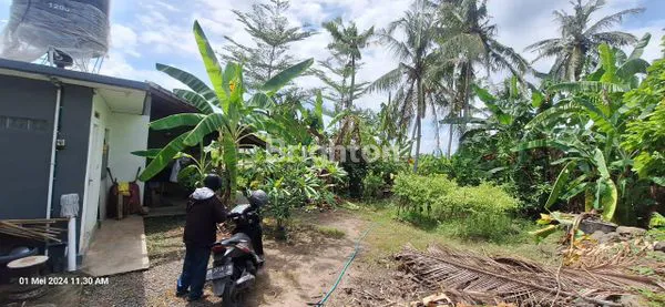 image DIJUAL TANAH PASEKAN KEDIRI TABANAN (1)