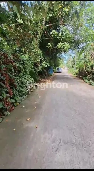 image DIJUAL TANAH PASEKAN KEDIRI TABANAN (8)