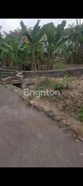 image TANAH PEKARANGAN SIAP BANGUN DI JOGJA UTARA, TURI PAKEM KALIURANG ATAS (1)