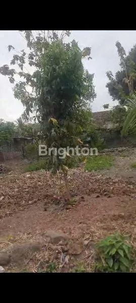 image TANAH PEKARANGAN SIAP BANGUN DI JOGJA UTARA, TURI PAKEM KALIURANG ATAS (2)