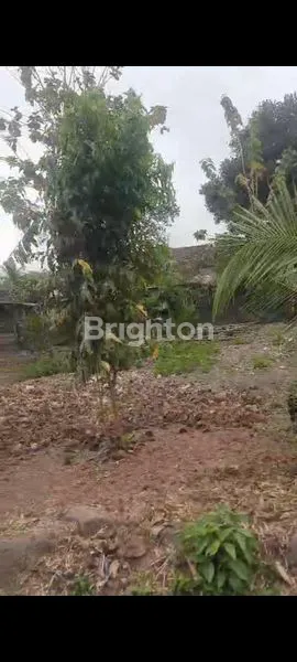 image TANAH PEKARANGAN SIAP BANGUN DI JOGJA UTARA, TURI PAKEM KALIURANG ATAS (3)