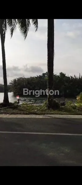 image TANAH LUAS DAERAH WISATA BATU KARAS PANGANDARAN (5)