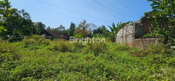 image TANAH INVESTASI SIAP BANGUN BENTUK KOTAK DI TLOGO - TUNTANG (4)