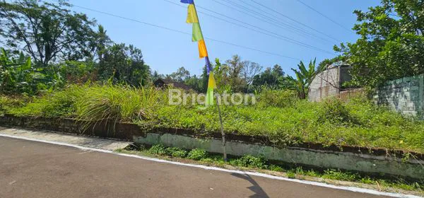 image TANAH INVESTASI SIAP BANGUN BENTUK KOTAK DI TLOGO - TUNTANG (7)