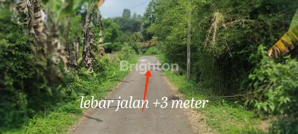 image LAHAN SIAP BANGUN CIJERUK (1)