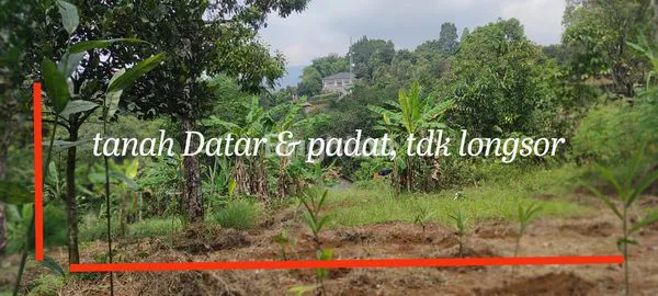 image LAHAN SIAP BANGUN CIJERUK (3)