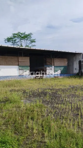 image GUDANG LOKASI STRATEGIS DI TEGAL BESAR JEMBER (3)