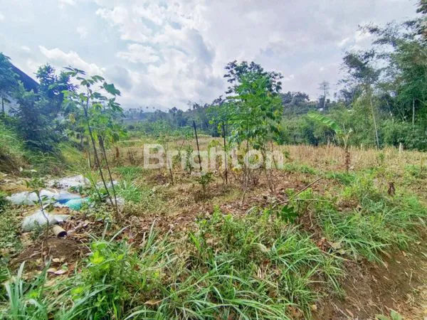 image TANAH DIJUAL MURAH KUCUR DAU (3)