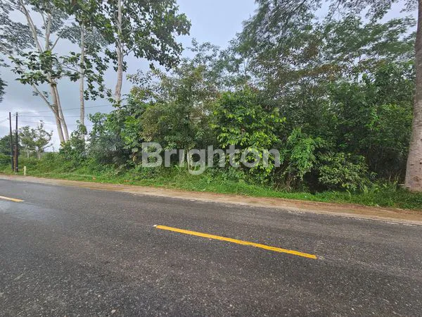 image JUAL TANAH KILO 24 PINGGIR JALAN BESAR BENTUK KOTAK (3)