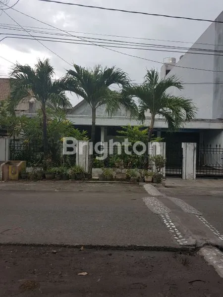 image PUCANG KEREP (1)