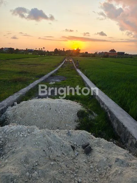 TANAH KAPLING KHUSUS VILLA SELANGKAH KE PANTAI SESEH COCOK