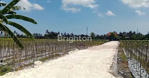 image TANAH KAVLING MURAH COCOK UNTUK VILLA  DI SUDIMARA TABANAN (5)