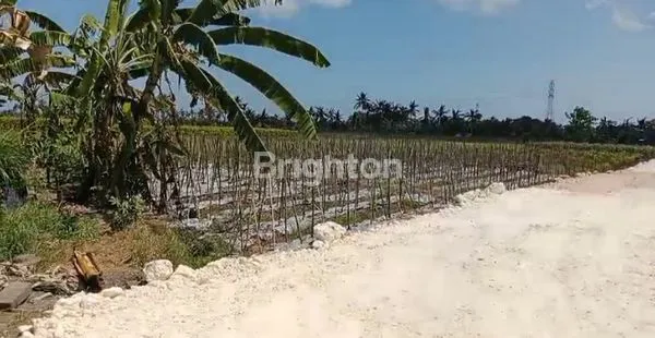 image TANAH KAVLING MURAH COCOK UNTUK VILLA  DI SUDIMARA TABANAN (4)