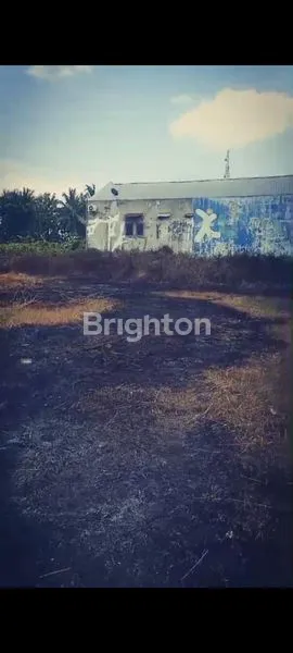 image LAHAN SIAP BANGUN DI BANTUL (3)