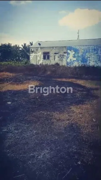 image LAHAN SIAP BANGUN DI BANTUL (5)