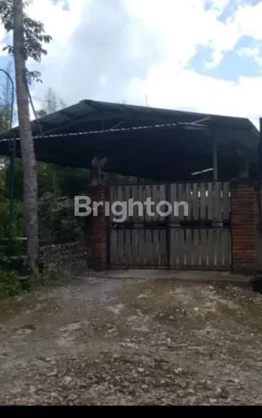 PETERNAKAN DI GUNUNG KIDUL