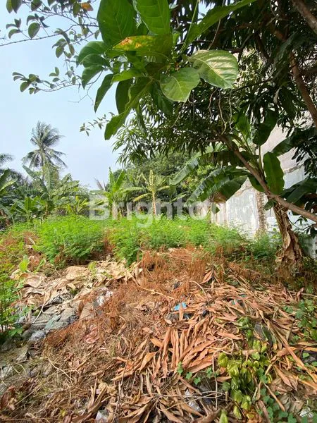 image TANAH HOOK DURI KEPA, STRATEGIS DEKAT JALAN PANJANG (2)