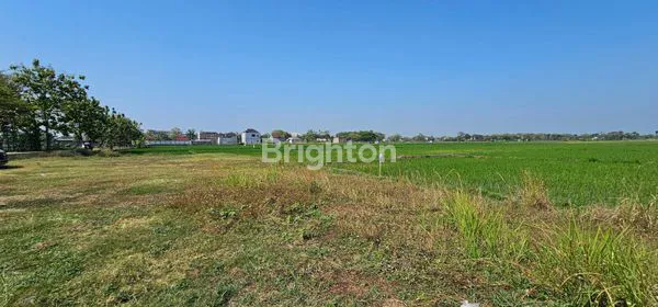 image TANAH ZONA MERAH SIAP BANGUN DI DESA GONDANG SRAGEN (4)