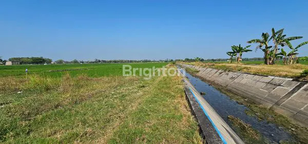 image TANAH ZONA MERAH SIAP BANGUN DI DESA GONDANG SRAGEN (6)