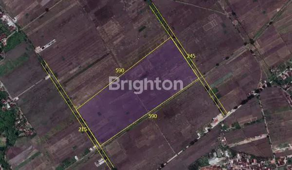 image TANAH ZONA MERAH SIAP BANGUN DI DESA GONDANG SRAGEN (8)