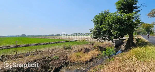 image TANAH ZONA MERAH SIAP BANGUN DI DESA GONDANG SRAGEN (1)