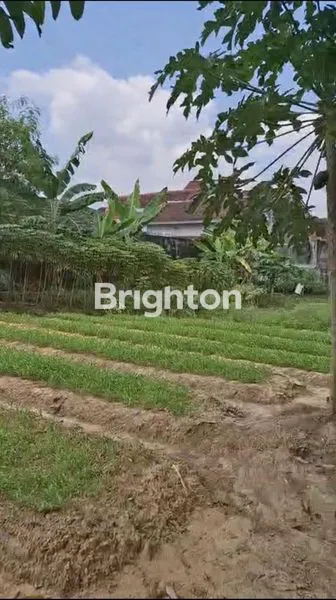 LOKASI STRATEGIS COCOK UNTUK PERUMAHAN