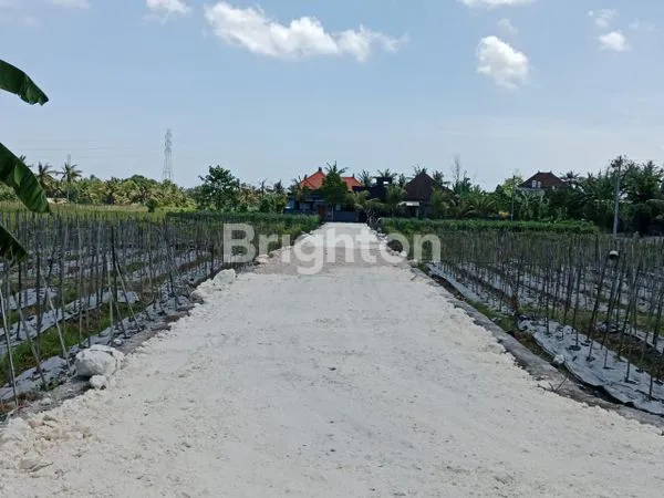 image TANAH KAPLING LOKASI NYAMAN & TENANG (1)