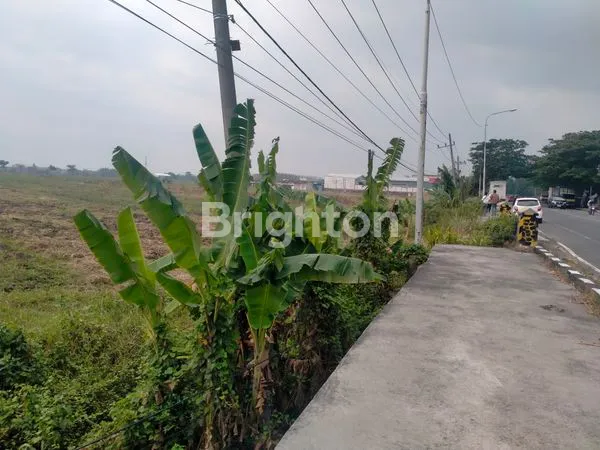 image TANAH DIJUAL  (2)