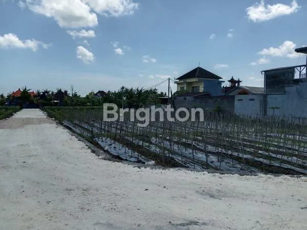 image TANAH KAPLING LOKASI NYAMAN & TENANG (4)