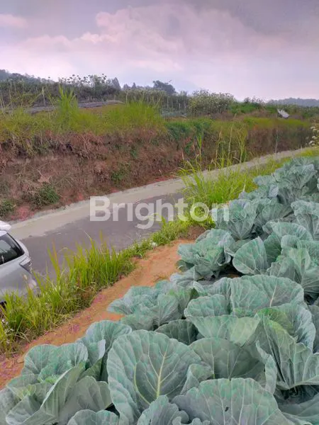 image TANAH SIAP BANGUN DAN USAHA DI DUSUN TEKELAN KAB SEMARANG (1)