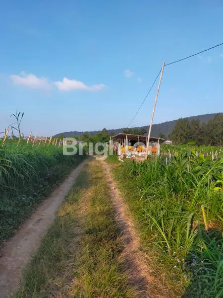 image TANAH SIAP BANGUN ATAU USAHA KOPENG GETASAN (1)