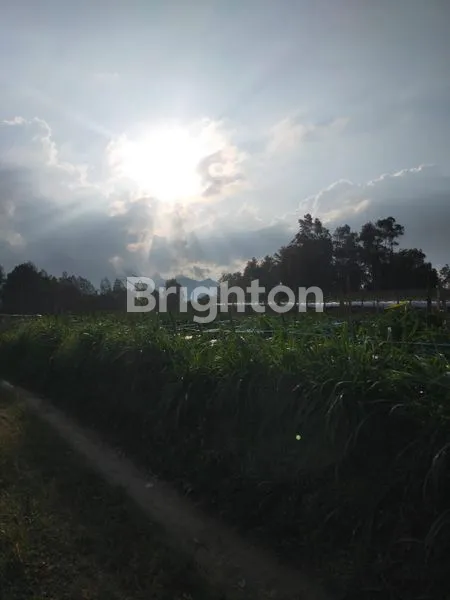 image TANAH SIAP BANGUN ATAU USAHA KOPENG GETASAN (3)