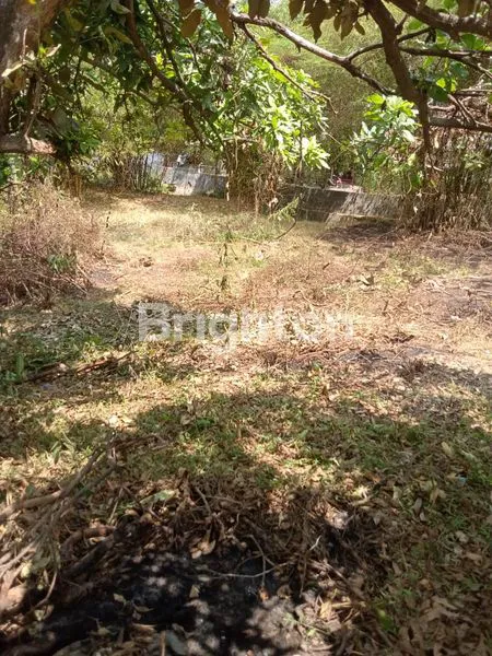 image TANAH METESEH RAYA SIAP BANGUN (2)