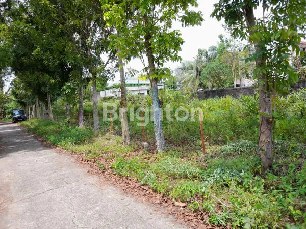 image TANAH KOSONG TJ MORAWA (2)