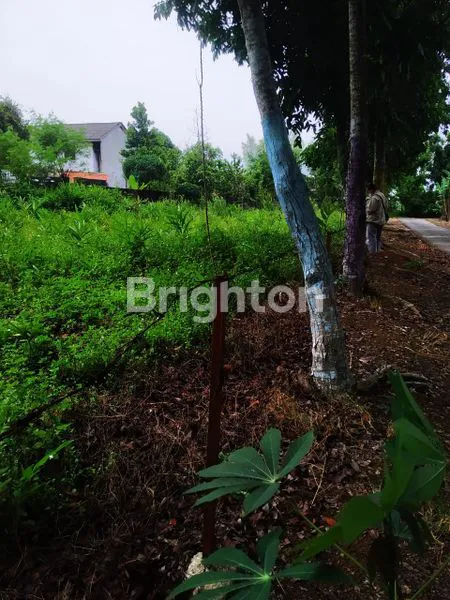 image TANAH KOSONG TJ MORAWA (4)