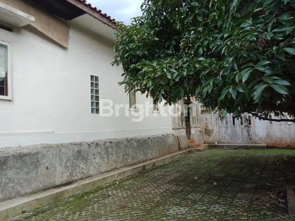 image RUMAH BERIKUT KEBUN DI PANCORAN MAS  (8)