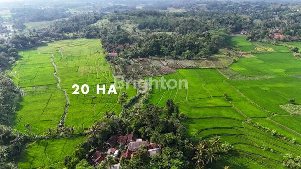 image TANAH CIANJUR CIBINONG HILIR UNTUK TEMPAT WISATA DAN INVESTASI (5)