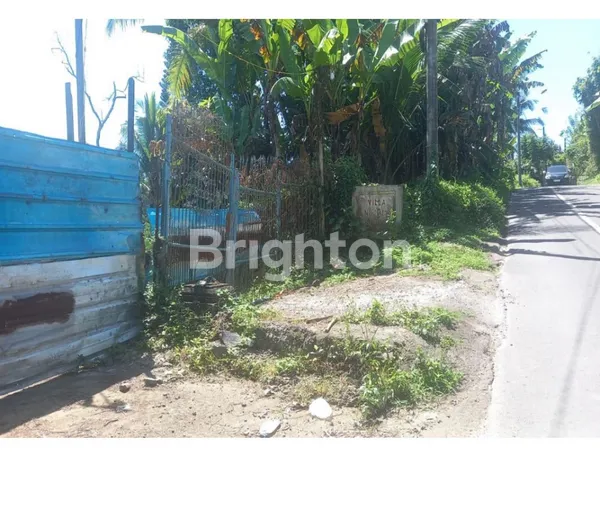 TANAH LOKASI CIAMIK DI UBUD BALI DENGAN HARGA TERBAIK !