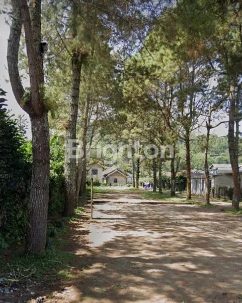 image TANAH CIBODAS LEMBANG SAMPING FINE FOREST CAMP (2)