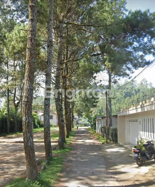 image TANAH CIBODAS LEMBANG SAMPING FINE FOREST CAMP (3)