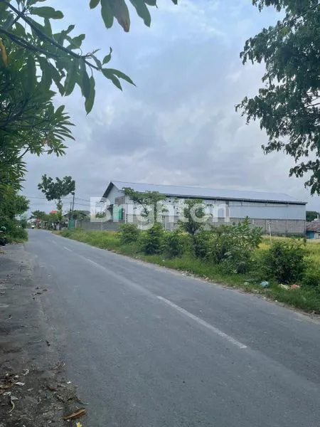 image GUDANG 5 ARE DI PEMECUTAN KELOD DENPASAR BARAT (5)