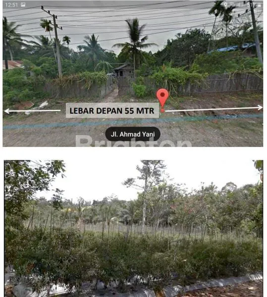DIJUAL TANAH KEBUN PINGGIR JALAN DEKAT BANDARA APT PRANOTO