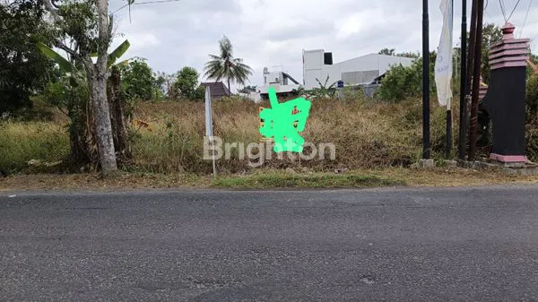 image TANAH TEPI JALAN RAYA (1)