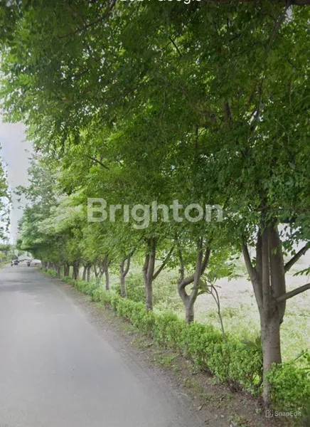 image TANAH BENTUK SAWAH DI LINGKAR TIMUR (2)